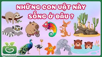 Bé Khám phá Những con vật này sống ở đâu? Thức ăn yêu thích của các loài động vật? Động vật đáng yêu