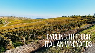 Cycling through Italian vineyards - Road cycling adventure in the Oltrepò Pavese area