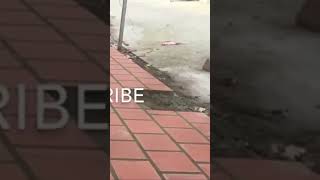 Finish work Tile ceramic # #decoration #construction #structure