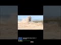 Rally Greece + Crashes + Mint 400 + Rally Finland #shorts
