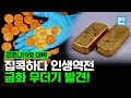 코로나로 집콕하다 돈벼락 맞은 사람들