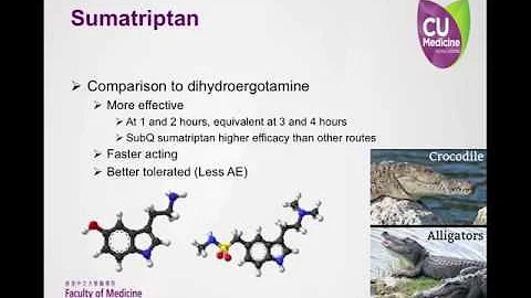 Migraine Pharmacotherapy