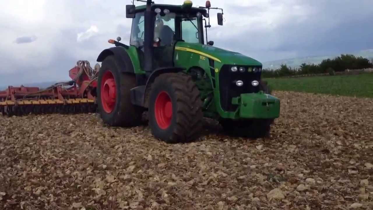 Planting Wild Bird Food