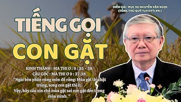 Mục sư Nguyễn Văn Ngọc | Tiếng Gọi Con Gặt | Bài Giảng Tin Lành #msnguyenvanngoc #httlvn 