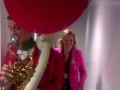 Enkele Dorstvlegels in actie op de WC
