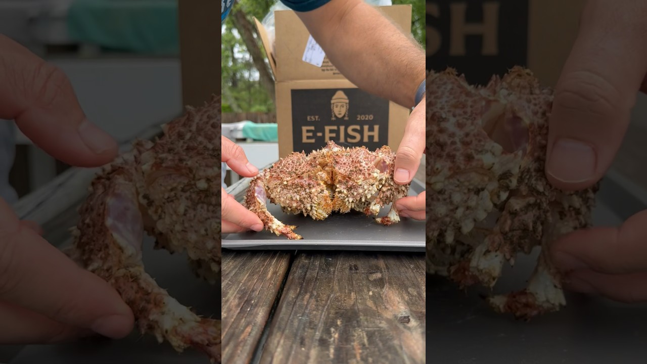 Pt. 14- I Ate a Box Crab 