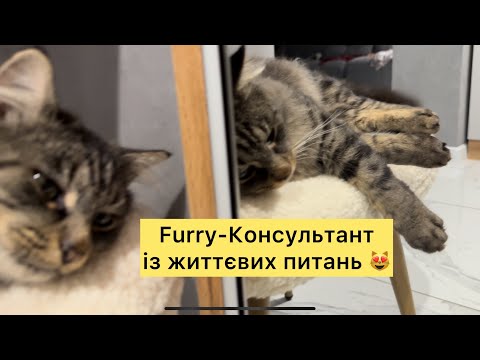 Furry консультант із життєвих порад дає порцію корисних порад