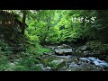 4K【羽左ノ窪渓流】癒し空間 自然が美味しい せせらぎ | 睡眠 集中力