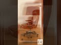 Poltrona direzionale Tecno P126 — Osvaldo Borsani per Tecno, 1966