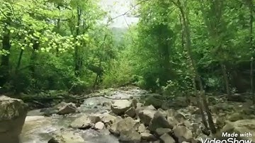 راحة نفسية لا توصف 🤍 سورة القلم ،سالم الرويلي