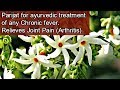 Medicinal Benefits of Parijat (हरसिंगार) | Miracle treatment for Arthritis /Chronic Fever (Eng Subs)