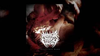 Abated Mass of Flesh - Infectious Womb