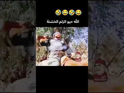 علة كيفك يل زيبة علة كيفك