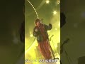 Vaundy 「Tokimeki」 紅白
