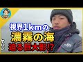 【漁師まさと】ヤバすぎる...ベタ凪の漁中に迫る巨大影…その正体とは！？【釣り 瀬戸内 漁師 切り抜き fish fishing fisherman SETOUCHI 船 給料】