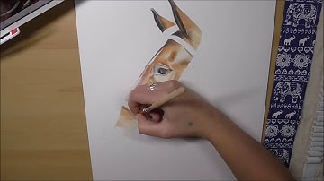 Drawing a Horse in Coloured Pencils Part 1