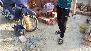 Đi câu cá ngát mà dí toàn tôm và cá mang ếch.