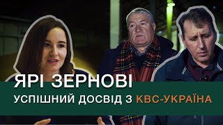 Ярі зернові: пшениця та ячмінь селекції KWS. Успішний досвід з КВС-УКРАЇНА