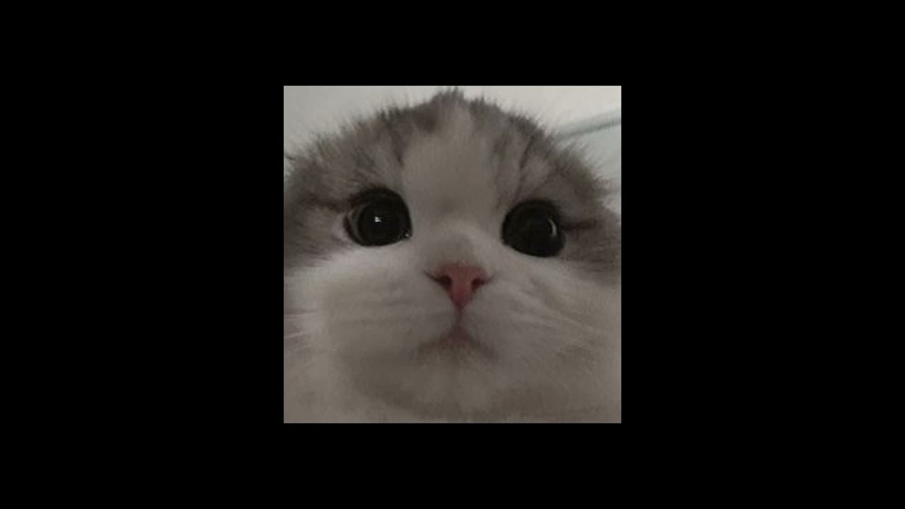 Måneskin - Coraline (speed up)