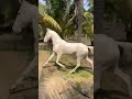 மாப்பிள்ளையின் செல்லபிள்ளை...