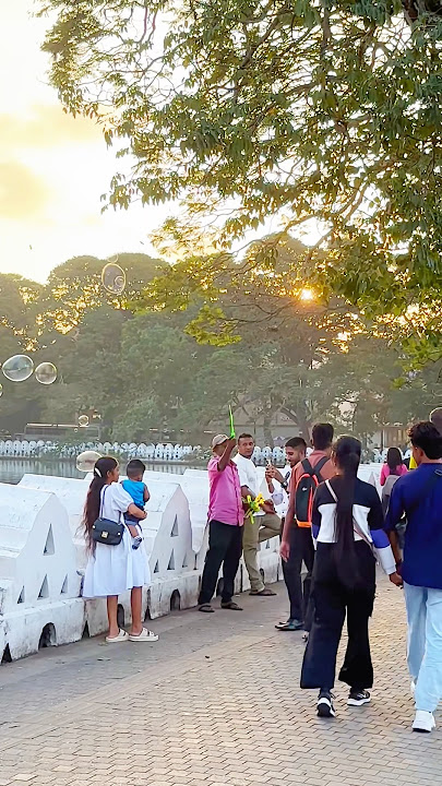 Photo eka lassana wenta eya billo yawanawa❤️❤️#beautiful #travel #life