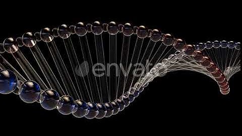 DNA Double Helix | Motion Graphics - Envato elements
