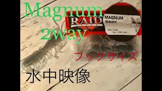 マグナム2way  水中映像 リグリ方 フックサイズは？ オリジナル 2way との比較！