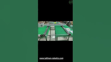 XYZ Linear Gantry System