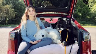 She Lives In a Tesla Tiny Home with TWO Pets | Camper Tour