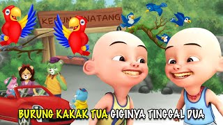 Burung Kakatua Kakak Tua - Lagu Anak Anak Indonesia Menyenangkan