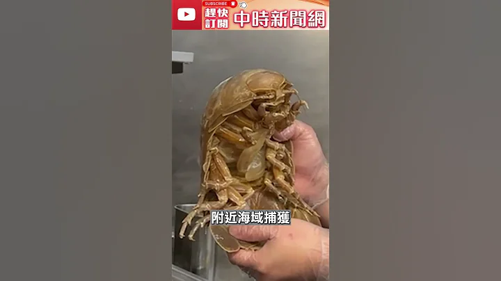 “大王具足虫”拉面霸气登场　超震撼味道全曝光！ @ChinaTimes #shorts - 天天要闻