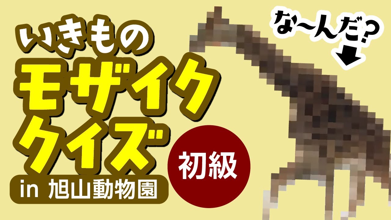 いきものモザイククイズ In 旭山動物園 初級編 旭山動物園くらぶ