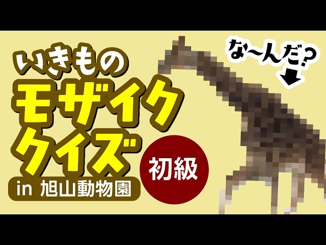 生き物モザイククイズNEW!