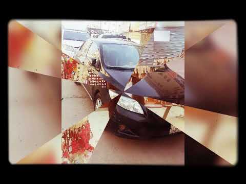 لوما بتكذب نجوى كرم