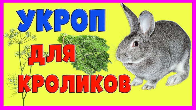 Користь м'яти для кроликів