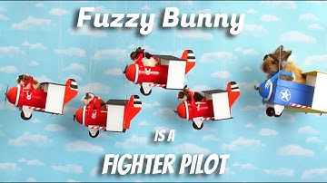 Fuzzy Bunny is a Fighter Pilot (ep.1)