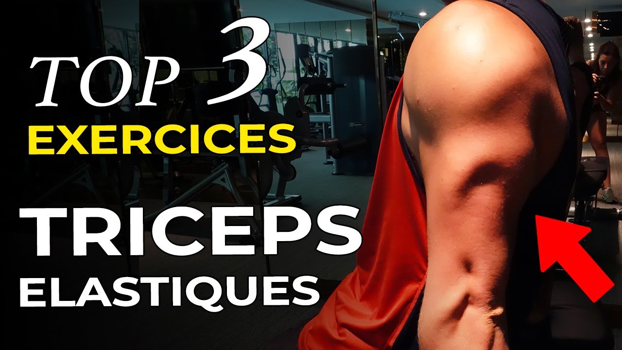 Top 8 des exercices haut du corps avec élastique – Fit Super-Humain