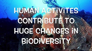 Habitat Fragmentation and Metapopulation