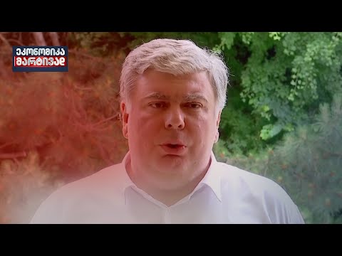 მიგრანტების გავლენა ფასების ზრდაზე