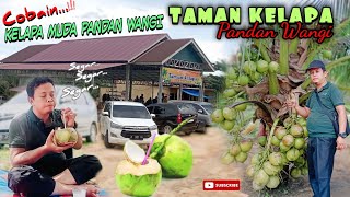 Cobainkelapa Pandan Wangi Di Taman Kelapa Wowkelapanya Enak Wangi