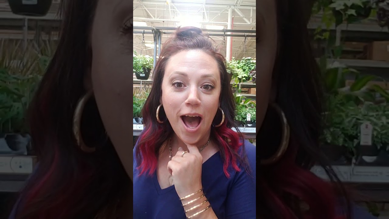 Gardening tips for a black thumb?