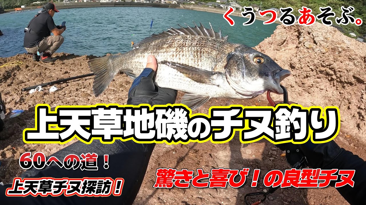 Black porgy fishing on the rocky shore of Kami Amakusa] Float