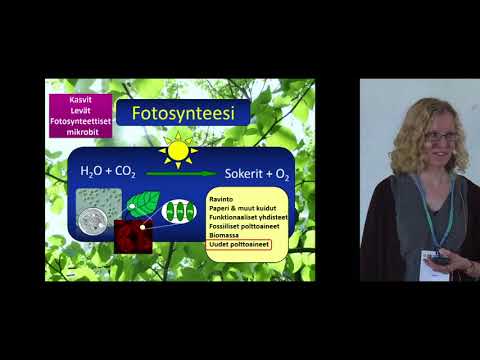 Video: Mikä fotosynteettinen tuote on radioaktiivinen?