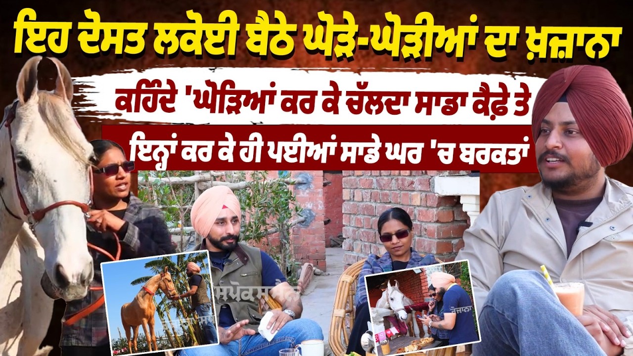 Говорят, что этот друг, сидящий в настоящем сокровищнице лошадей, словно ходит верхом на лошадях,...