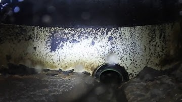 360 camera manhole test