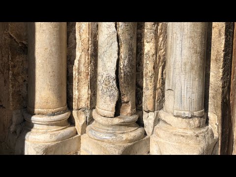 ვიდეო: იერუსალიმის არტიშოკი