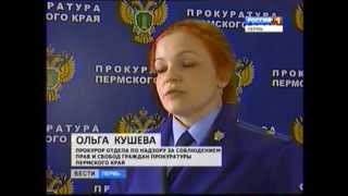 Прокуратура потребовала начать отлов бродячих собак в Пермском крае Прокуратура потребовала начать отлов бродячих собак в Пермском крае
