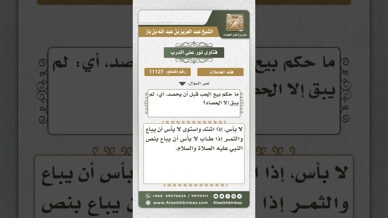11127 - حكم بيع الحب والثمر قبل الحصاد - نور على الدرب
