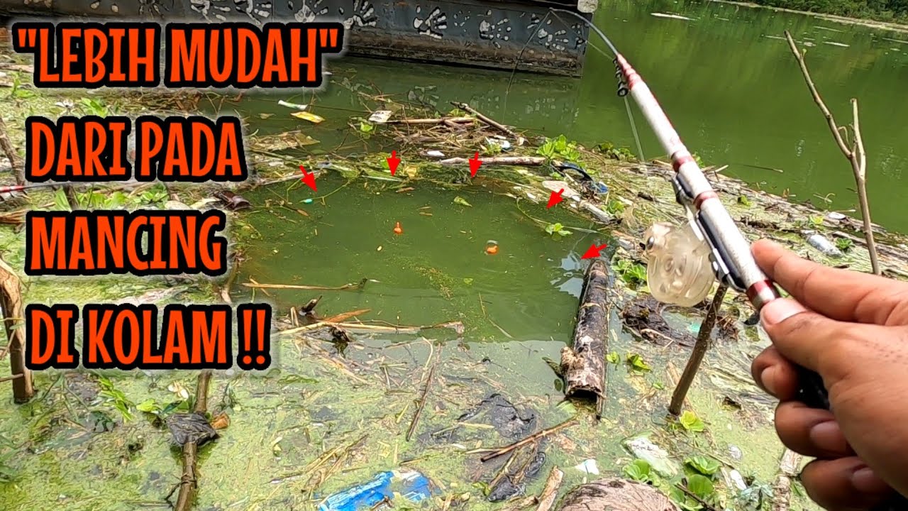 PEMANCING GAK AKAN TIDUR NYENYAK SETELAH NONTON VIDIO INI ‼️ mancing ikan red devil NAHOL MANIA