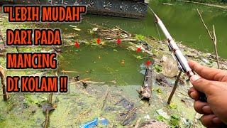 Pemancing Gak Akan Tidur Nyenyak Setelah Nonton Vidio Ini Mancing Ikan Red Devil Nahol Mania